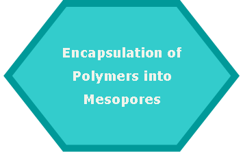 Hexagon: Encapsulation ofPolymers into Mesopores